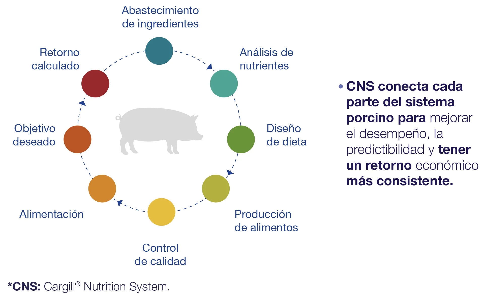 Gráfica Cargill Nutrition System